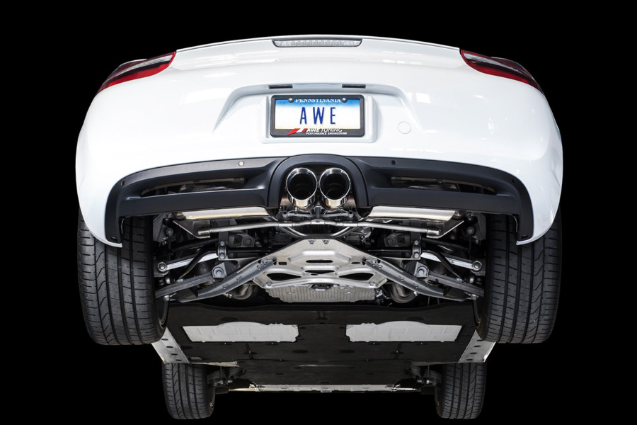 rear cayman shot showing awe exhaust