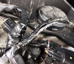 porsche common problems - wiring harness mouse eaten