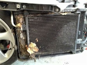 Not cleaning out the front radiator on a 991 can cause fan failure or worse.