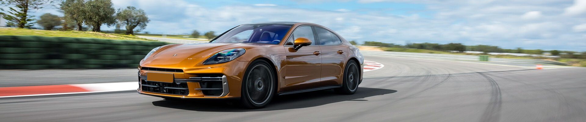 Answering Porsche Cayenne maintenance questions