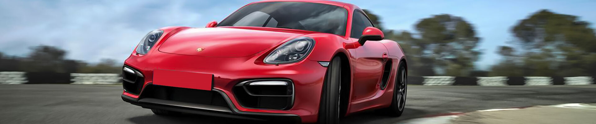 Porsche 981 Cayman maintenance service schedule