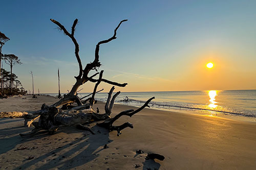 Moving south saves having to store your Porsche!