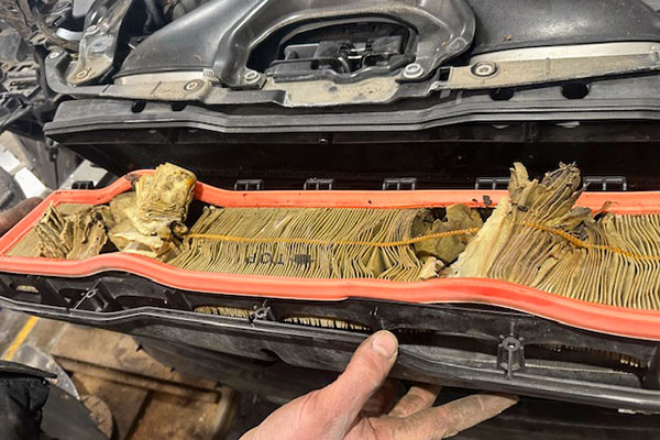 Skipped air filter maintenance on a Panamera causes engine issues.